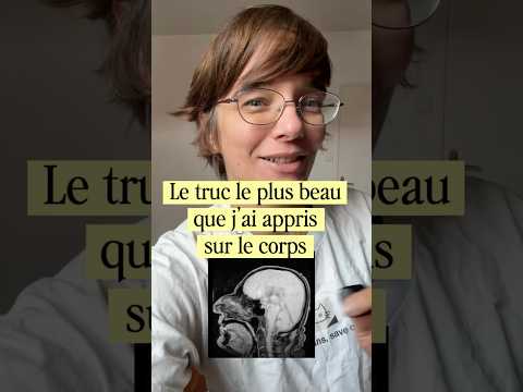 ton cerveau prend un bain pendant que tu dors